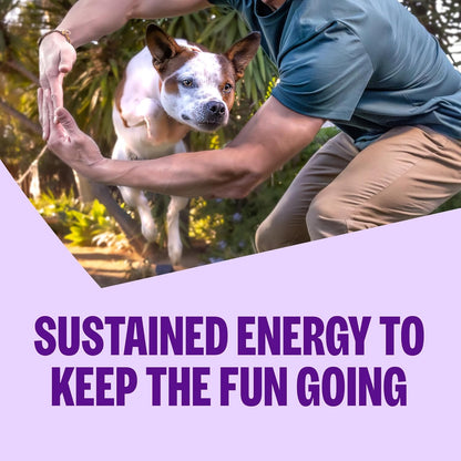 Complete Health Natural Dry Small Breed Dog Food Small Breed Puppy Turkey, Salmon & Oatmeal